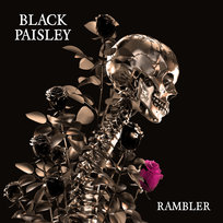 Rambler Black Paisley