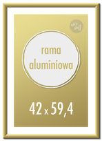 Ramka na zdjęcia 42x59,4 cm A2 Ramki aluminiowe 59,4x42 cm złota