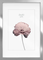 Nowości - Dom i ogród