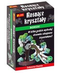 Ranok-Creative, zestaw do eksperymentu Rosnące kryształy Bonsai - Ranok-Creative