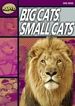 Rapid Reading: Big Cats Small Cats (Stage 1, Level 1A) - Reid Dee