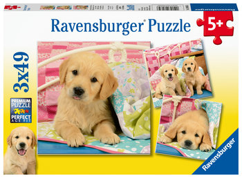 Ravensburger, puzzle, Psiaki, 3x49 el. - Ravensburger