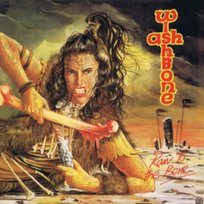 Raw To The Bone Wishbone Ash