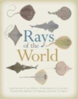 Rays of the World - Peter Last