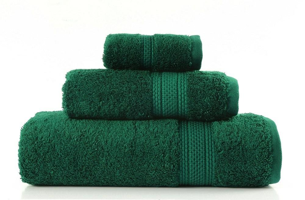 Zdjęcia - Ręcznik  Egyptian Cotton 50x90 zielony 600 g/m2 frotte z bawełny egipskiej
