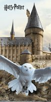 Ręcznik plażowy 70x140 Harry Potter Hedwig beżowy bawełniany Jerry Fabrics