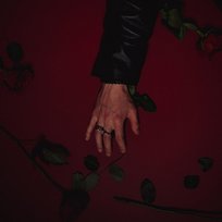 RED ROSE Johnny Huynh
