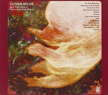 Red Tide Opal in the Loose End Womb - Various Artists