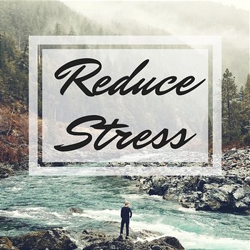 Reduce Stress – Soothing Nature Sounds to Calm Down, Meditation and Yoga, Better Concentration and Sleep, Insomnia Cure - Stress No More