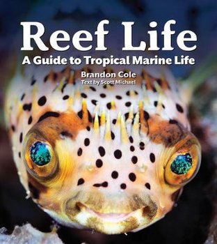 Reef Life: A Guide to Tropical Marine Life - Michael Scott
