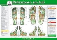 Reflexzonen am Fuß (2 Tafeln A4) Marquardt Hanne