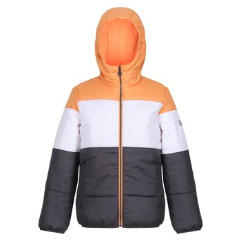 Regatta Kurtka Dziecięca/dziecięca Lofthouse VII Terrain Print Padded Jacket (158 / Żółty) - REGATTA