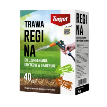 Regina 1 kg nasiona trawy do uzupełniania ubytków w trawniku - Target