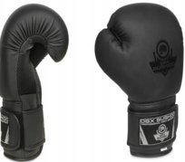 Rękawice bokserskie DBX BUSHIDO B-2v12 16 oz