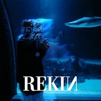 Rekin aleshen