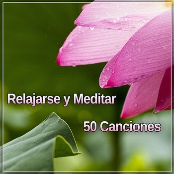  Música para Yoga Meditação 50 Faixas: Terapia de Cura Sons da  Natureza para Encontrar Sua Paz Interior, Alívio de Estresse, Exercícios de  Conscientização & Aula de Ioga : Música de Yoga