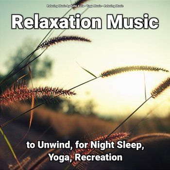 Relaxation Music to Unwind, for Night Sleep, Yoga, Recreation - Yoga Music, Relaxing Music, Relaxing Music by Keiki Avila