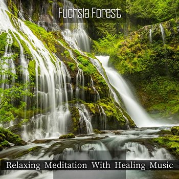 Relaxing Meditation with Healing Music - Fuchsia Forest