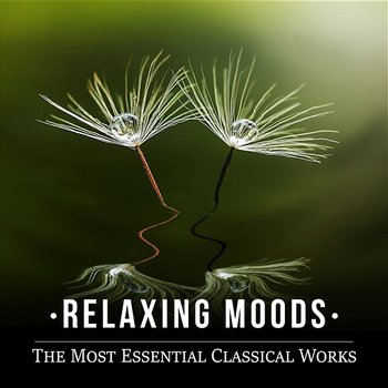 Relaxing Moods: The Most Essential Classical Works, Chamber Music, Piano & Harp Pieces - Erazm Jahnke, Lucecita Medrano