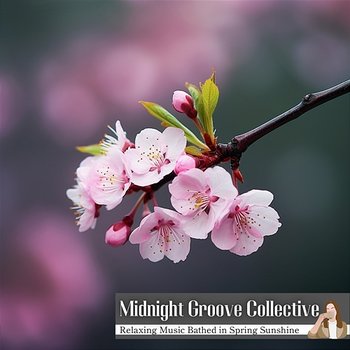 Relaxing Music Bathed in Spring Sunshine - Midnight Groove Collective