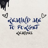 Remind Me to Forget Kygo & Miguel