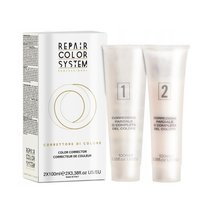 RENEE BLANCHE Dekoloryzator do włosów REPAIR COLOR SYSTEM - 2x100ml