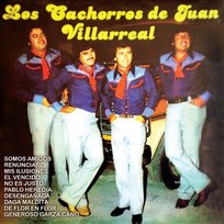 Renunciaré Los Cachorros de Juan Villarreal