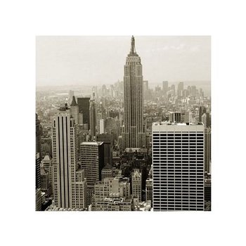 Reprodukcja NICE WALL Manhattan panorama - sepia, 40x40 cm - Nice Wall