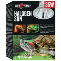 Repti Planet Repti Żarówka Do Terrarium Sun Halogen Uva 35W Repti Planet