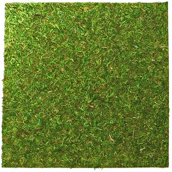 Repti-Zoo Natural Moss Back&Bottom - Naturalne Tło I Podłoże Z Mchu 45X45Cm - REPTI-ZOO