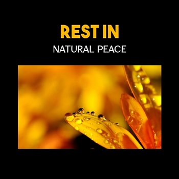 Rest in Natural Peace – Cure Insomnia, Lower Stress and Anxiety, Restorative Sleep with Soothing New Age Music, Deep Relaxation for Sleep - Soothing Chill Out for Insomnia