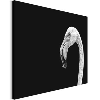 Revolio 120x80 cm Obraz na płótnie Zwierzęta na czarnym - Revolio