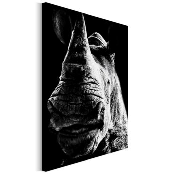 Revolio 30x45 cm Obraz na płótnie Zwierzęta na czarnym - Revolio