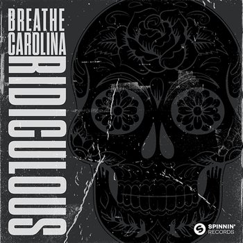 Ridiculous - Breathe Carolina