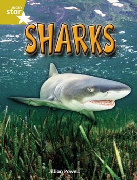 Rigby Star Independent Year 2 Gold Non Fiction Sharks Single - Jillian Powell