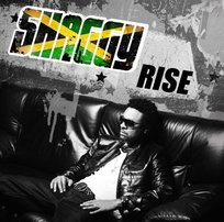 Rise Shaggy