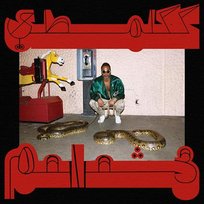 Robed In Rareness Shabazz Palaces