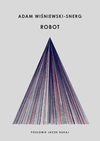 Robot Wiśniewski-Snerg Adam