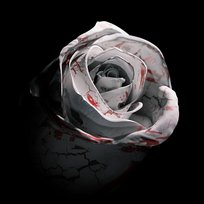 Romantic Homicide d4vd