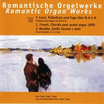 Romantische Orgelwerke: Romantic Organ Works Various Artists