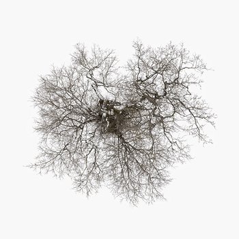Root to Leaf - John Metcalfe