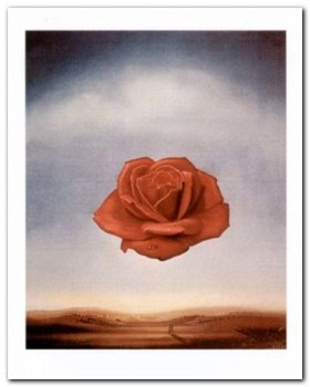 Rose Meditative plakat obraz 24x30cm - Wizard+Genius