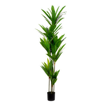 Roślina sztuczna TROPICAL ZONE dracena 180 cm HOMLA - Homla