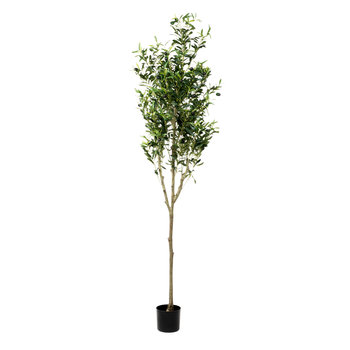 Roślina sztuczna TROPICAL ZONE drzewko oliwne 180 cm HOMLA - Homla