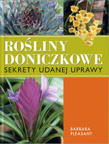 Rośliny doniczkowe Pleasant Barbara
