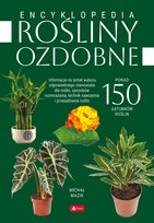 Rośliny Ozdobne Mazik Michał