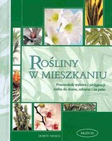 Rośliny w mieszkaniu Nissen Dorote