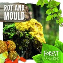 Rot & Mould Twiddy Robin