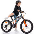 Rower 20 cali dla chłopca Tiger Bike Shimano RevoShift 6 biegowy&nbsp;-&nbsp;Sun Baby