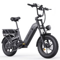 Rower elektryczny Fat Bike HillMiles Mile Link 1, 250 W, zasięg do 250 km, szary